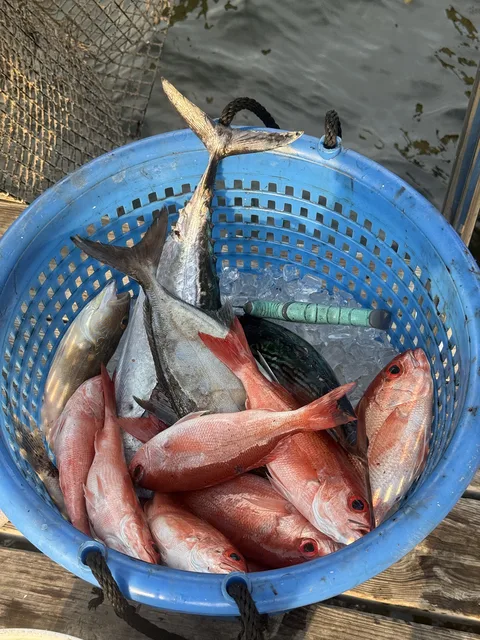A basket of fresh-caught fish from a nearshore trip off the East Pass in Destin